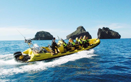 Vestmannaeyjar Inseln Schnellboot-Tour