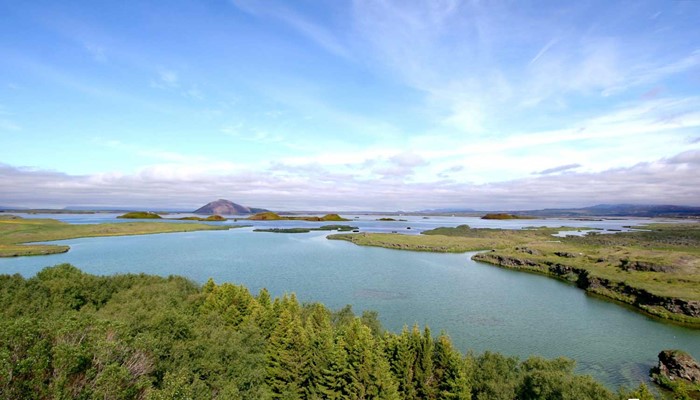 aerial drone myvatn lake view with a small forest