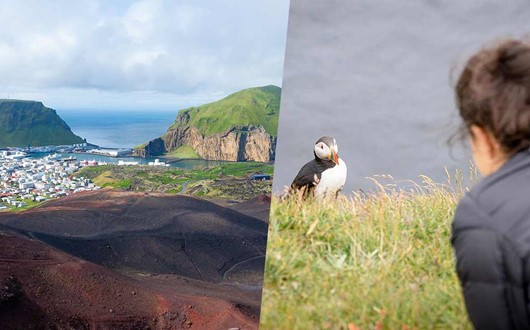 Vestmannaeyjar Island, Volcanoes and Puffins Tour