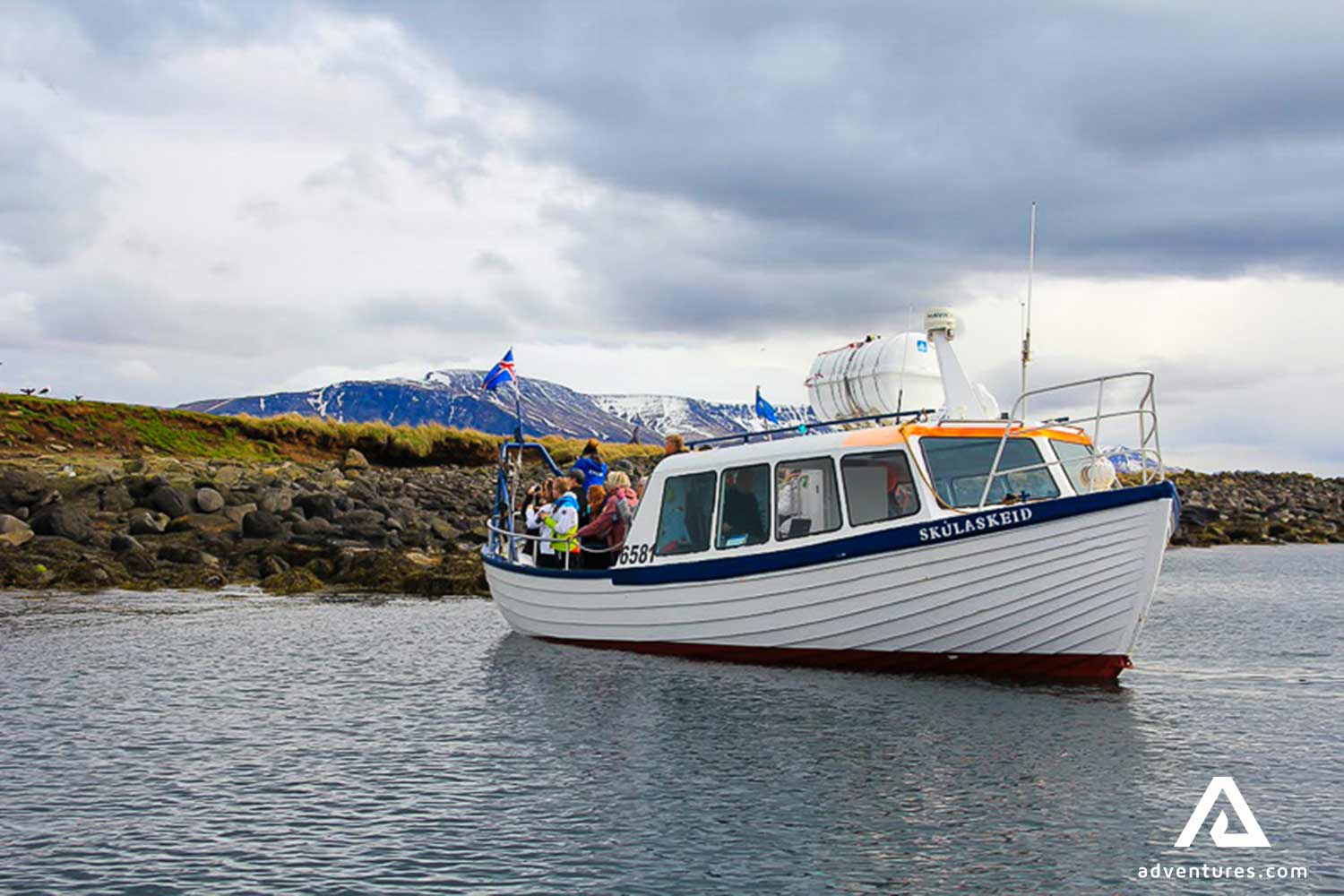 small boat puffin watching