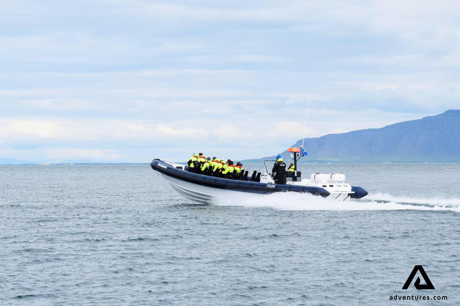 Whale Watching Tour Iceland Rib Boat from Reykjavik