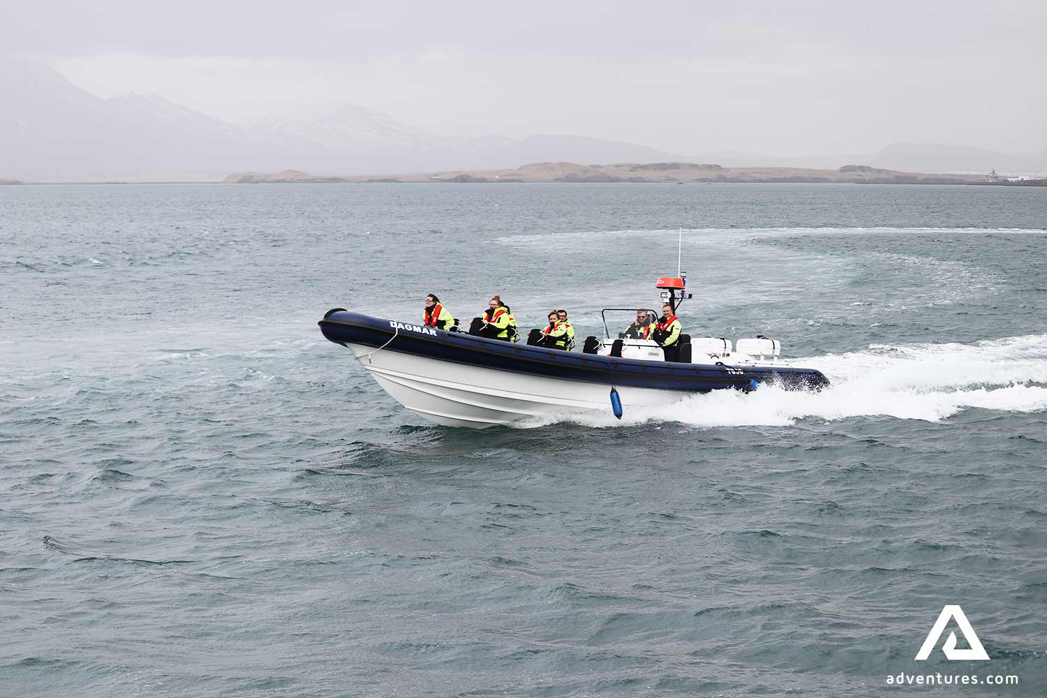 Whale Watching Tour Iceland Rib Boat from Reykjavik