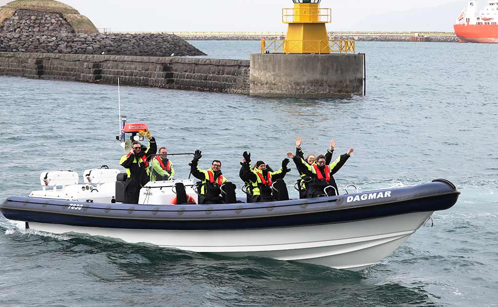 Whale Watching Rib Boat Tour from Reykjavik