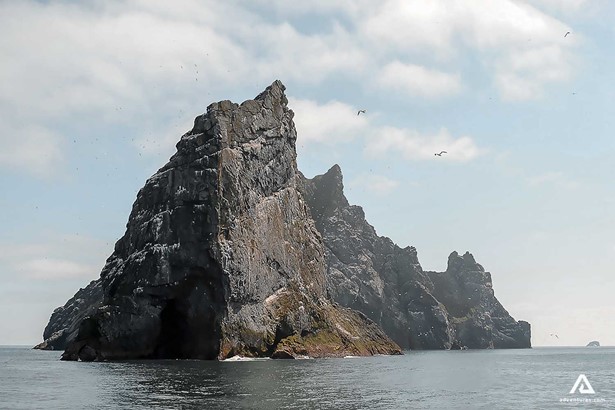 Icelandic Bird Cliffs