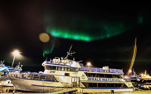 Nordlichter mit dem Boot ab Reykjavik