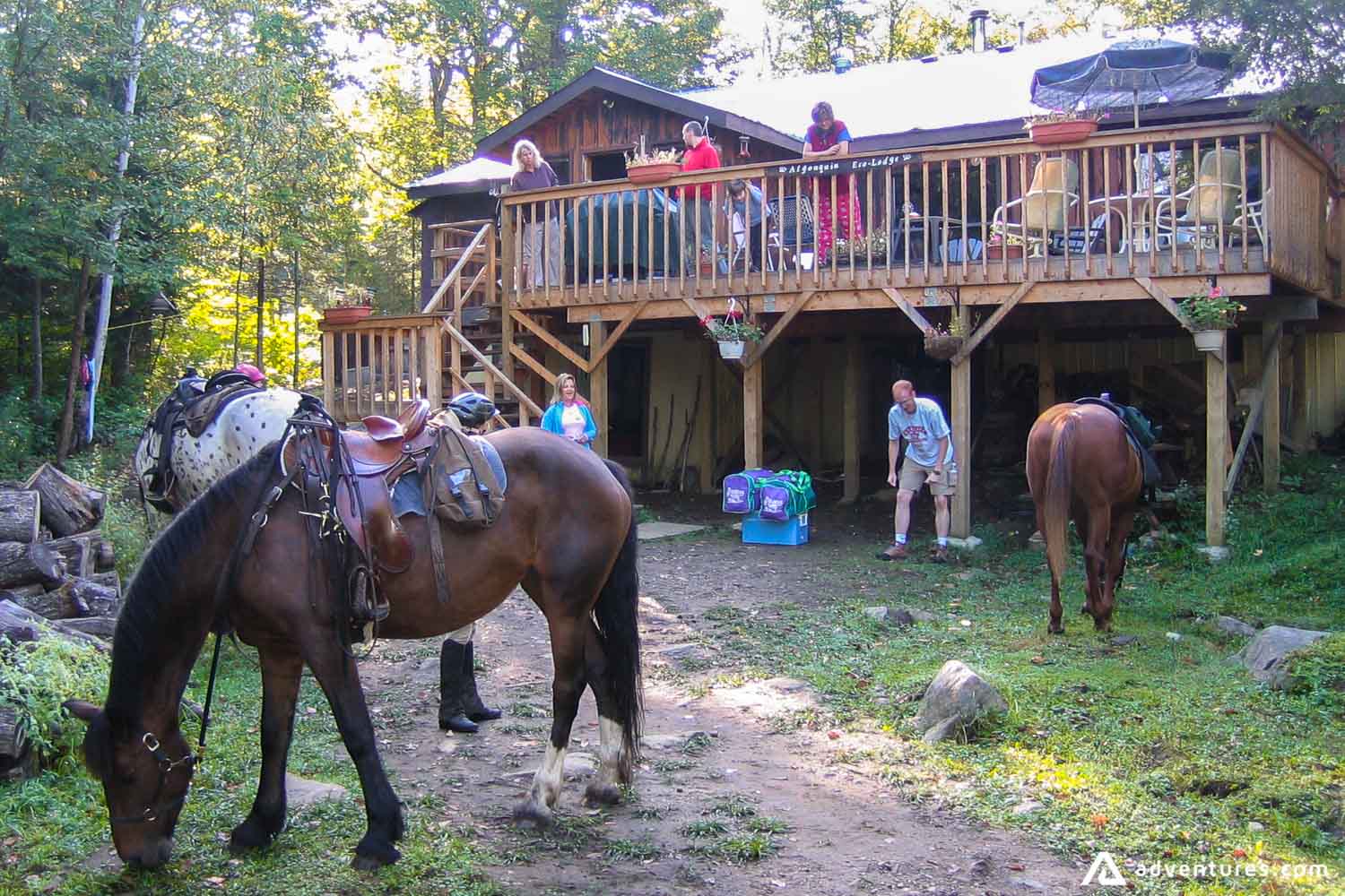 Before horse ride near the lodge