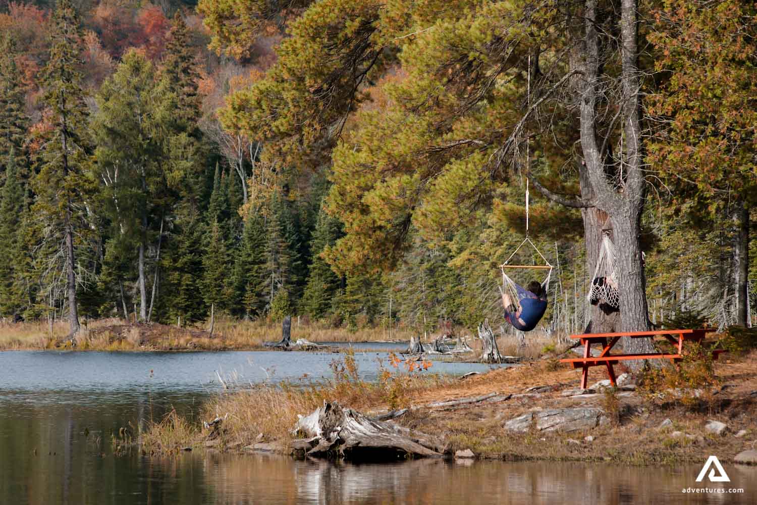 Hamac on the lake shore