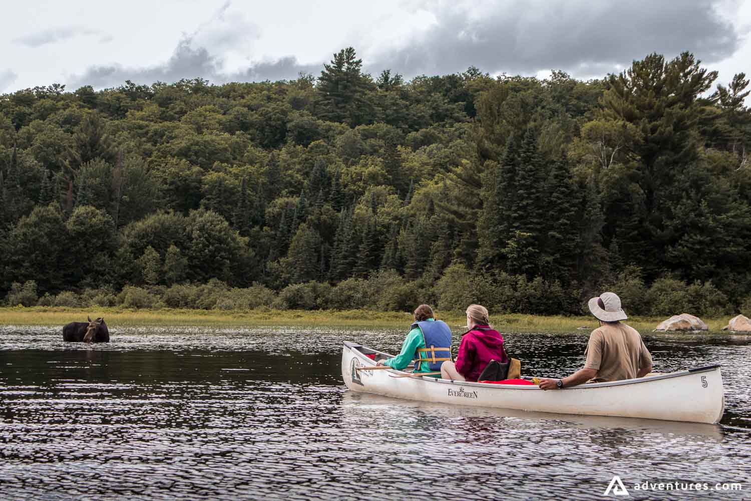 Canoeing in the lake