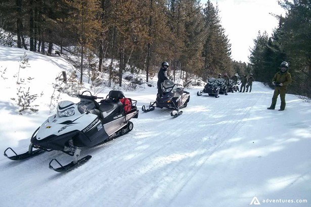 Forest Snowmobiling in Canada