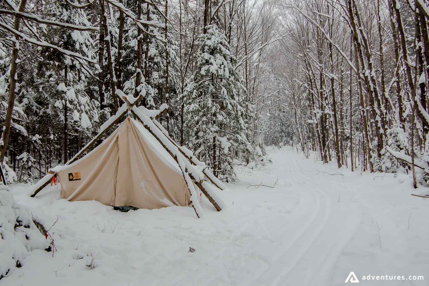 Tent in winter forest