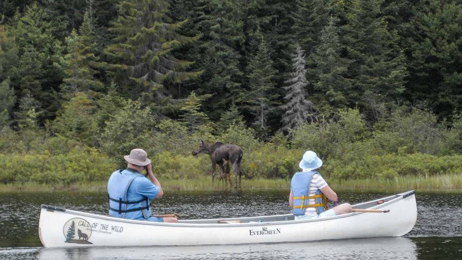 Canoeing and wildlife watching
