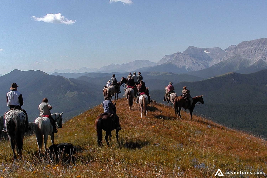 Exploring Alberta Rockies on a horseback