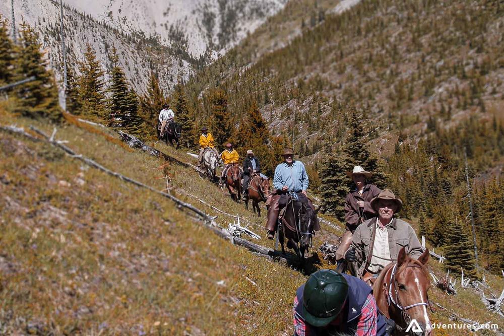 Group of People Ride Horses on a Canadian mountains