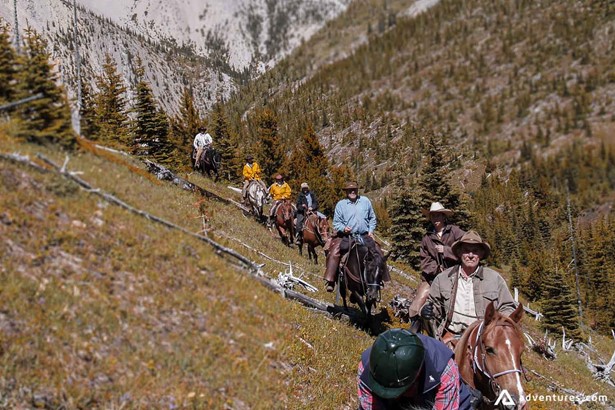Group of People Ride Horses on a mountains