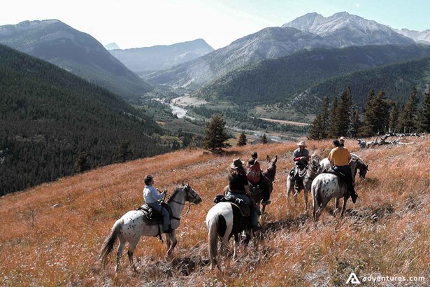 People on Horseback riding trip