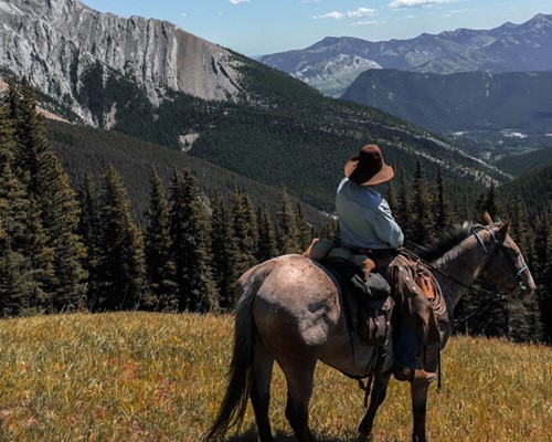 Horseback Riding in the Canadian Rocky Mountains