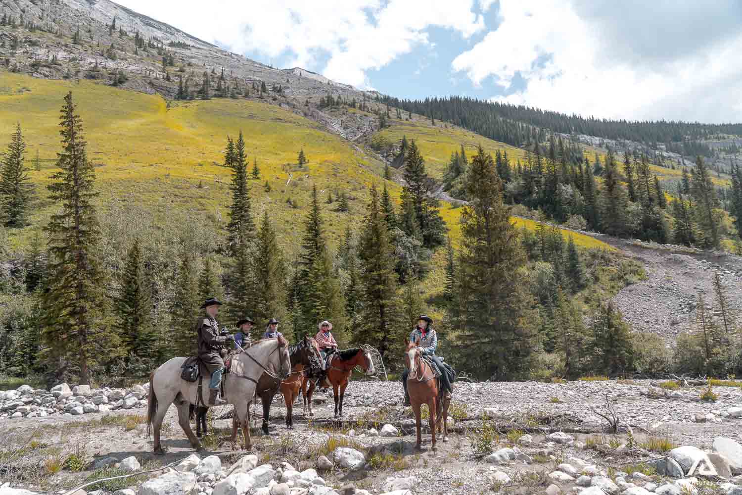 Banff Backcountry Tentbased Horseback Trip