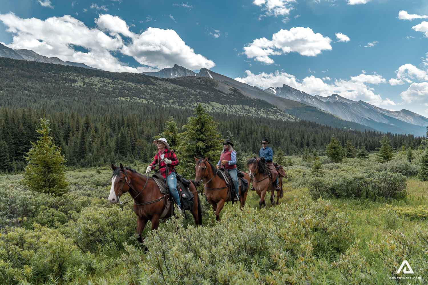 Banff Backcountry Tentbased Horseback Trip