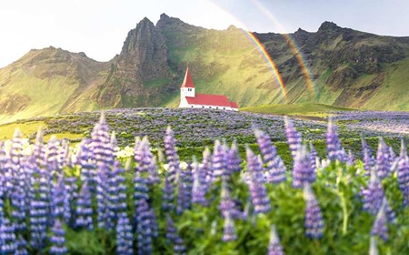 Iceland in June – The Complete Guide Iceland in June – The Complete Guide