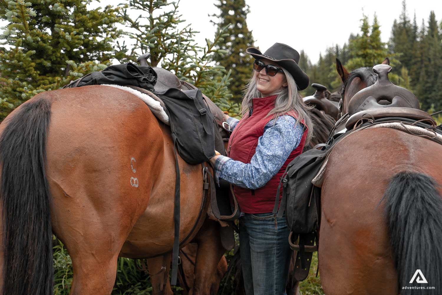 Banff Backcountry Tentbased Horseback Trip