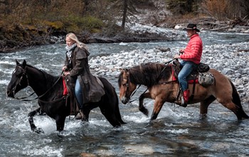Lodge-based horseback riding tour - Backcountry of Banff