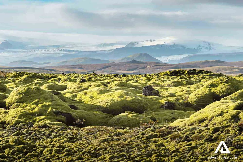 mossy volcanic lava field