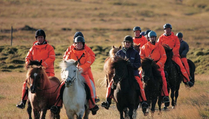 group horse riding in iceland