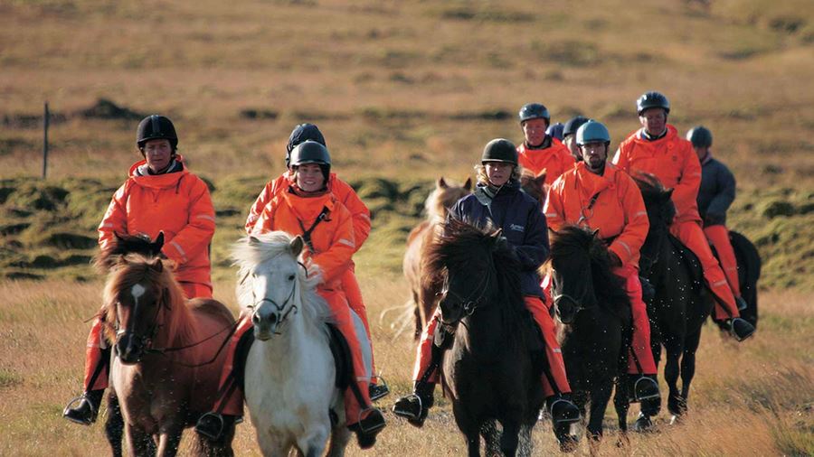 group horseriding in iceland