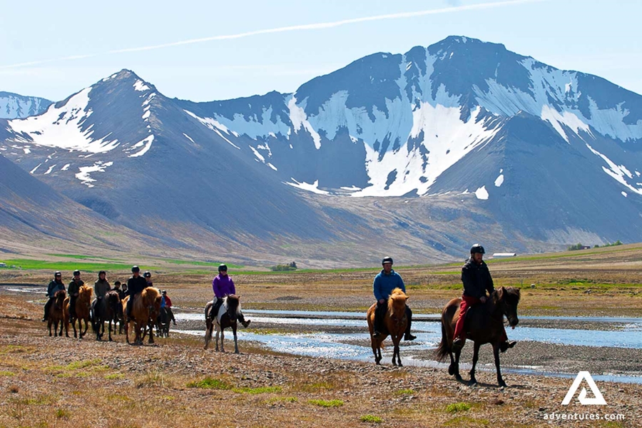 group horse riding near a mountain range