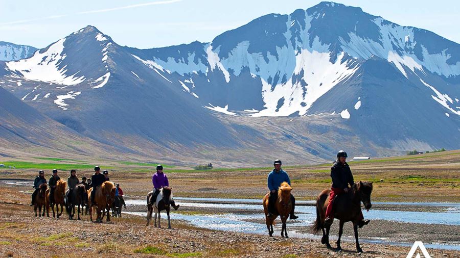 group horse riding near a mountain range