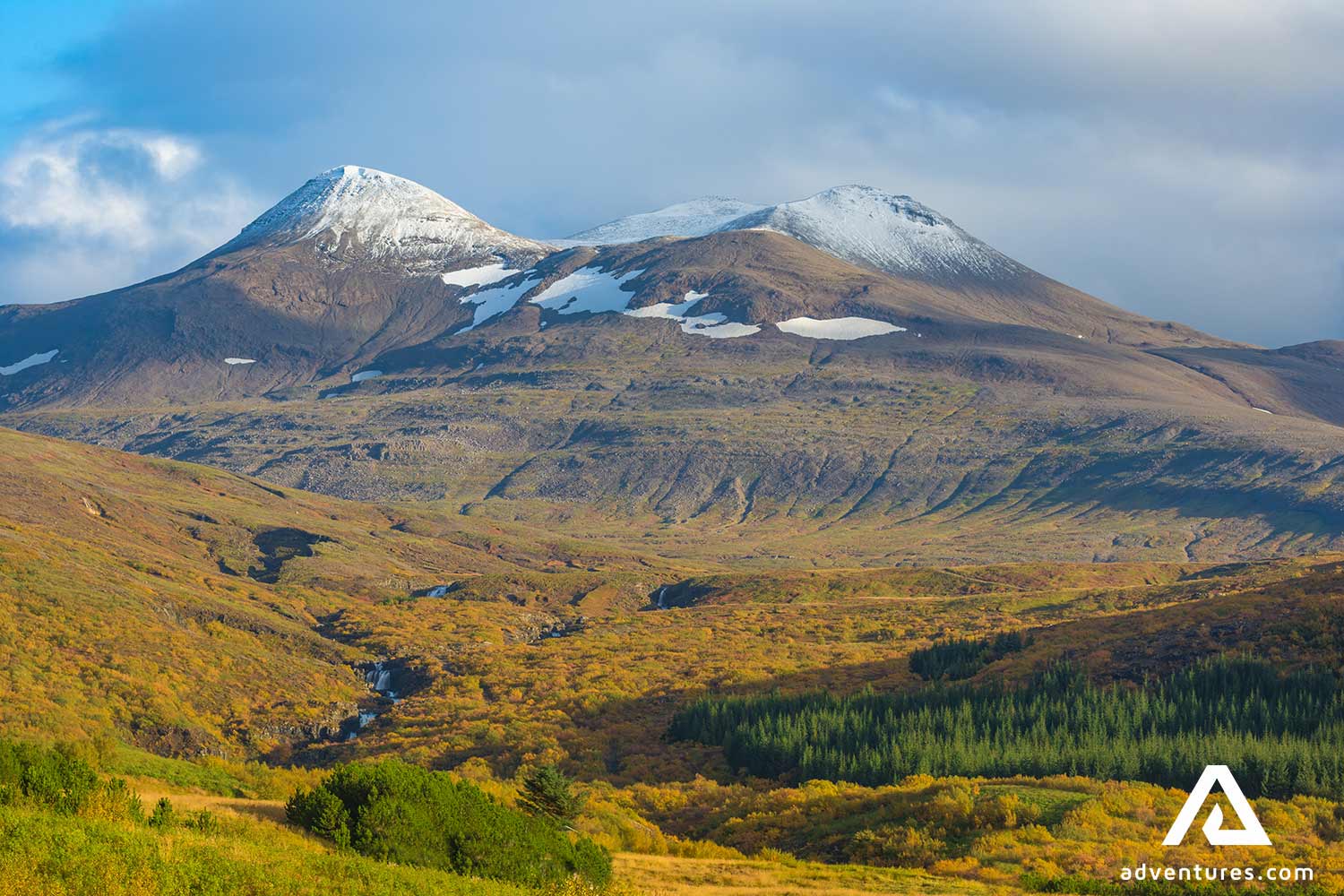 many trees in hvalfjordur