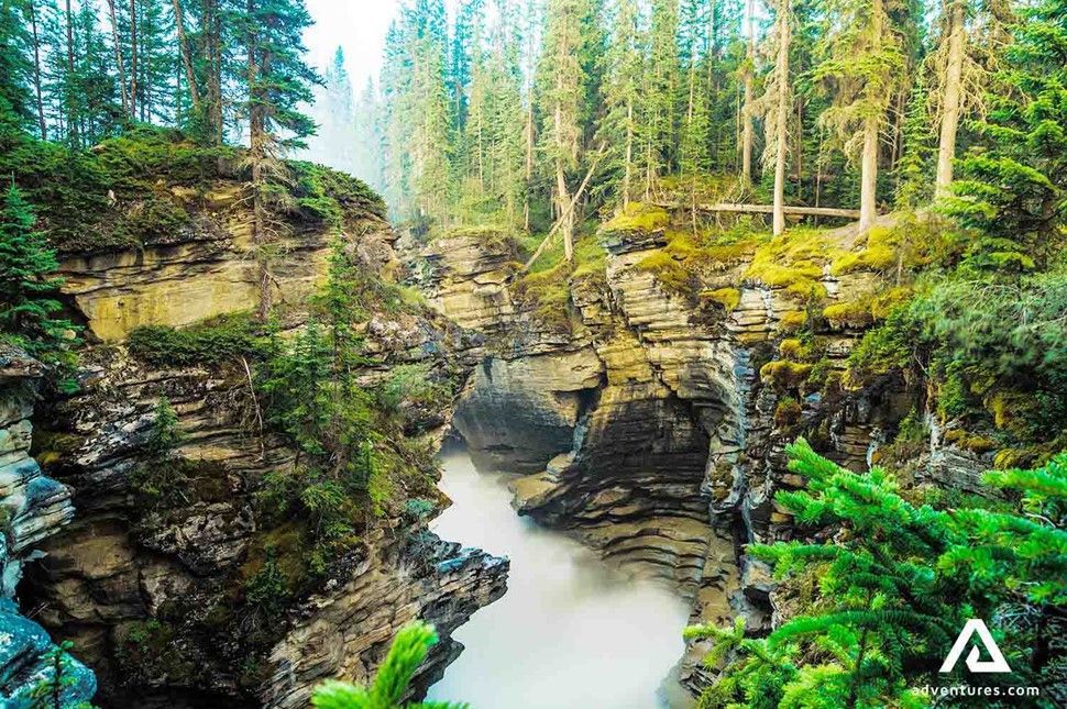 maligne canyon in a forest in banff