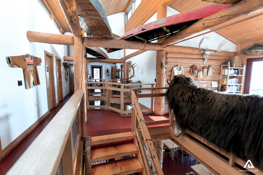 Lodge with animal fur decor