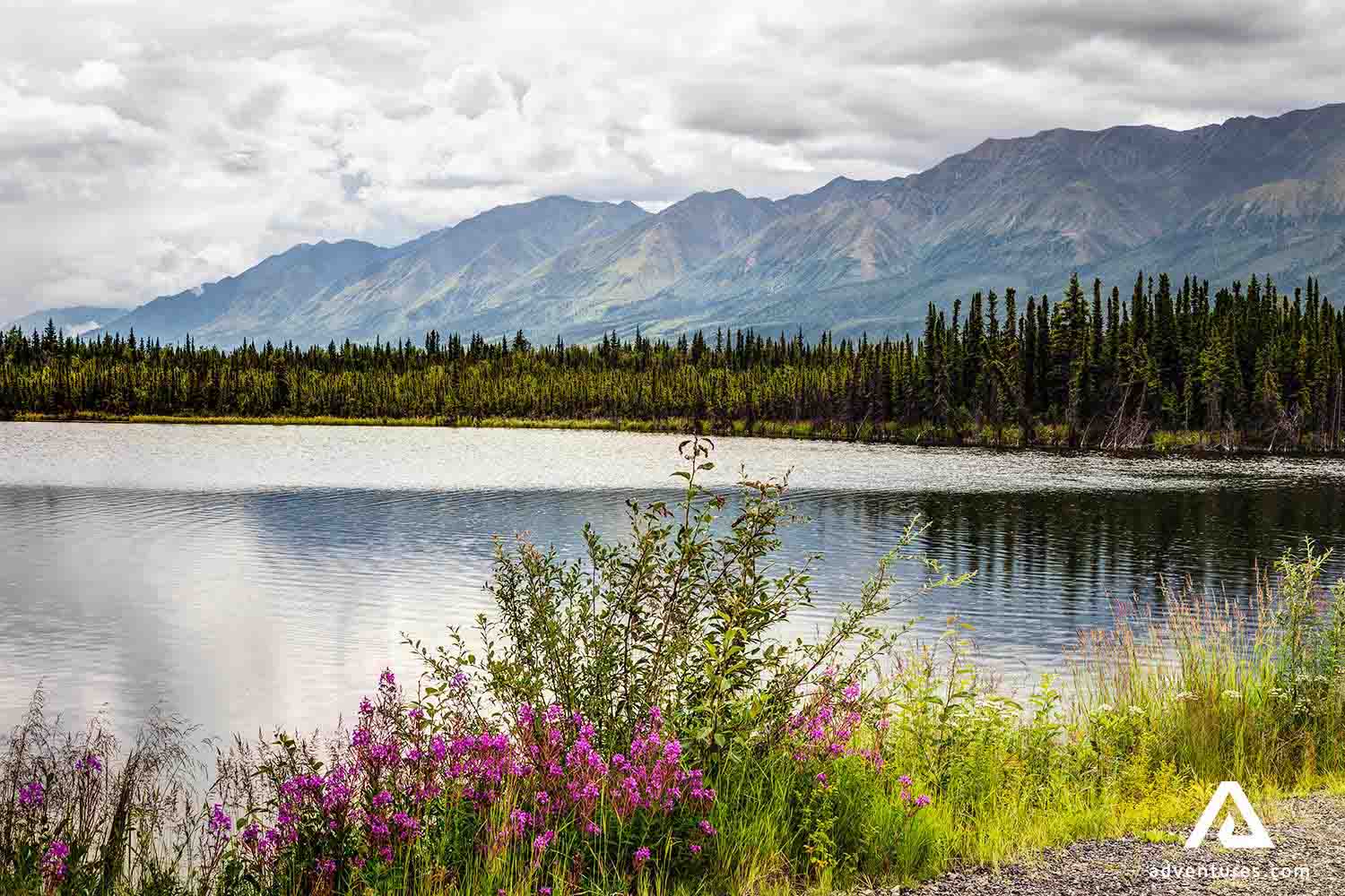 haines junction in yukon canada