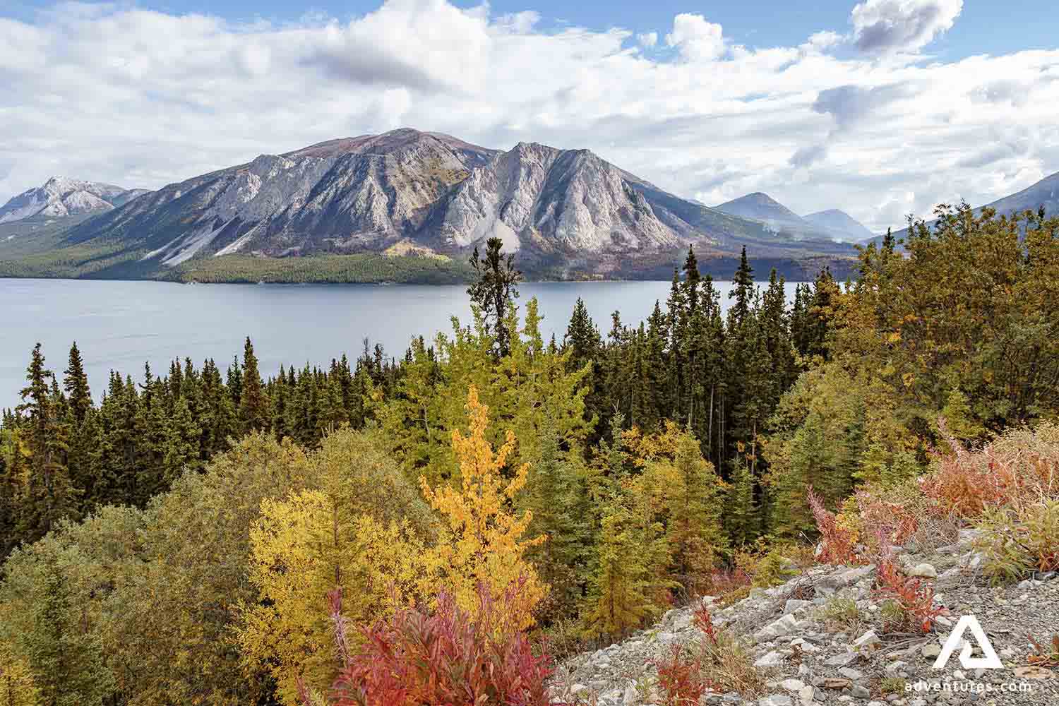 tagish lake near klondike highway in canada