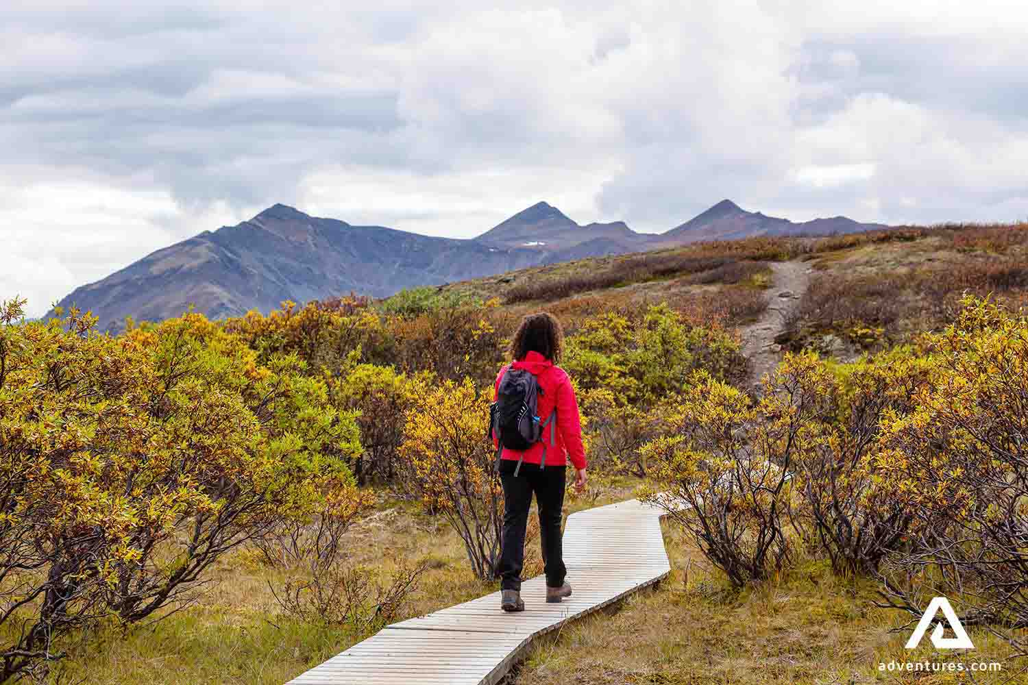 woman hiking on a wooden path in yukon