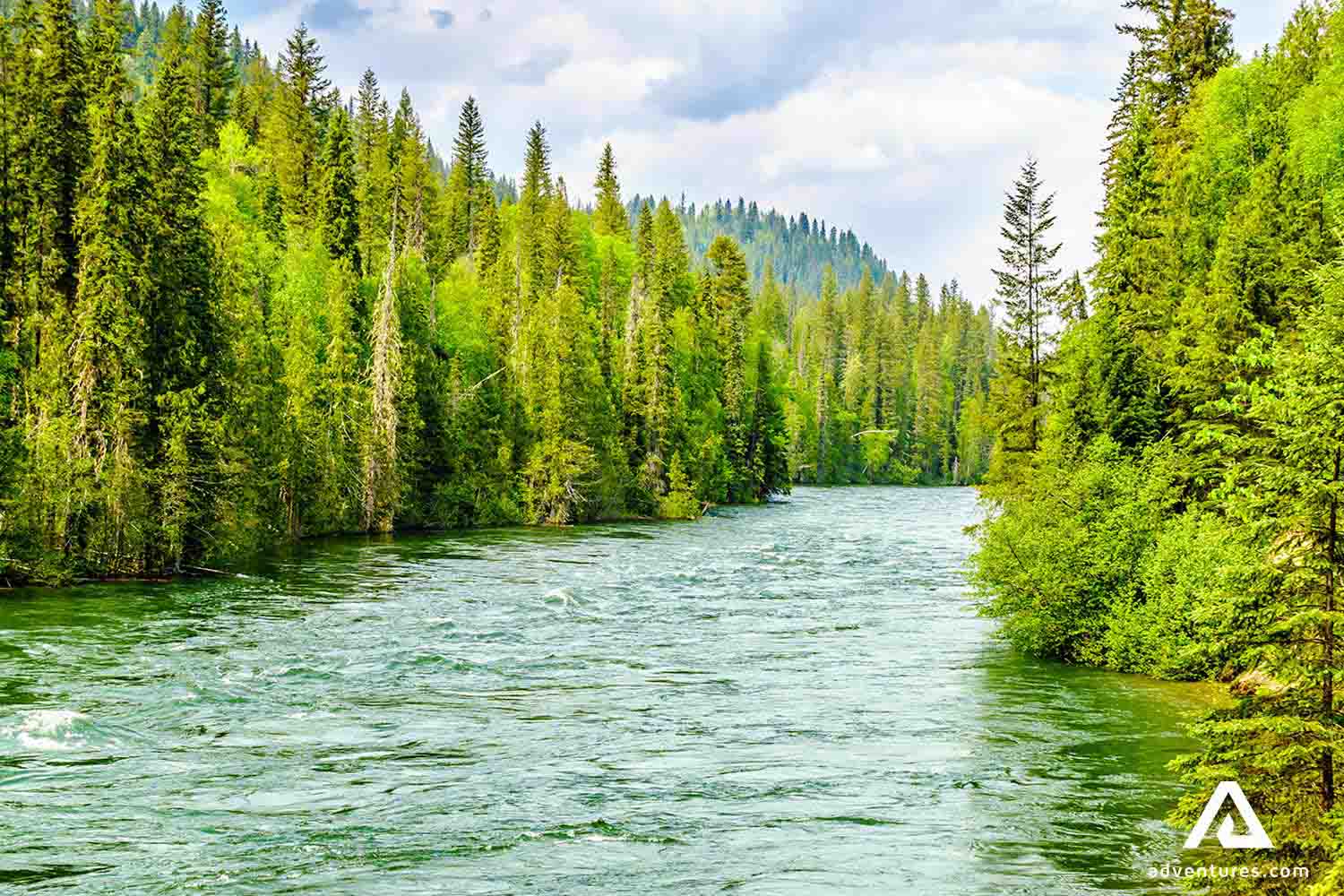clearwater river in wells gray park