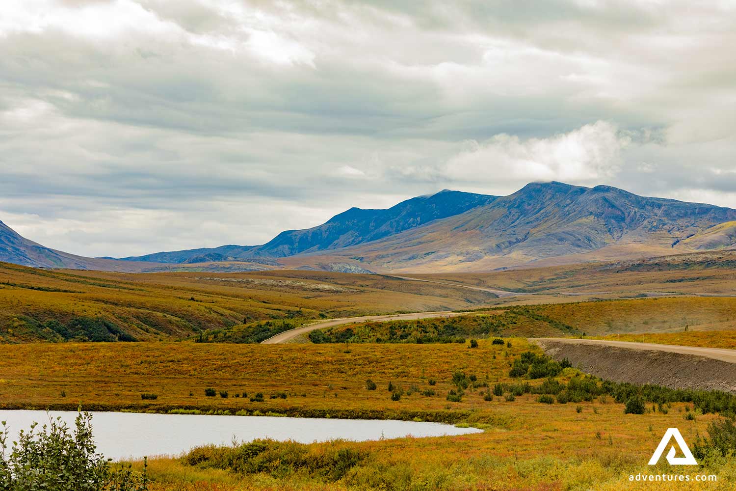 autumn landscape of northwest territories in canadian tundra