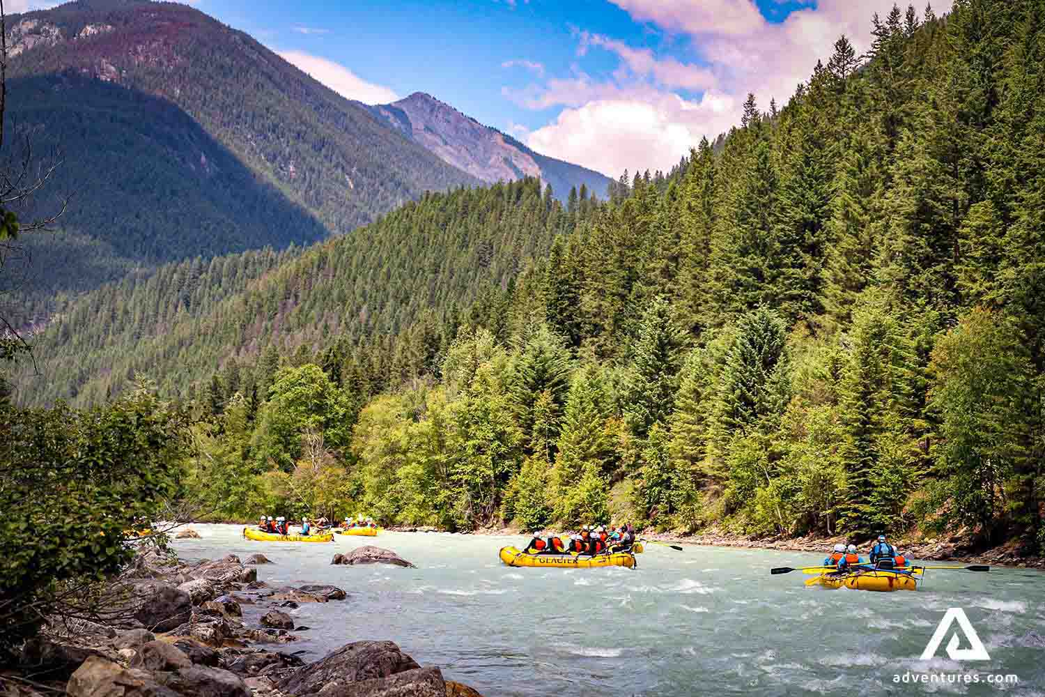 forest view from kicking horse river in canada