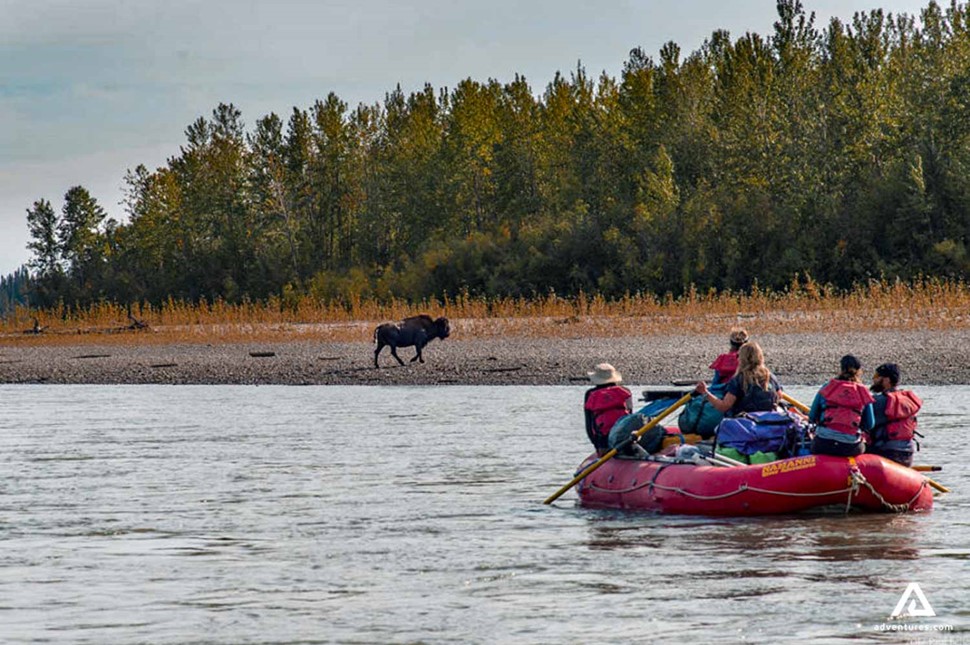 group rafting at nahanni river and spotting wildlife