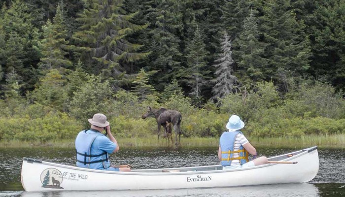 Wilderness canoeing trips into Algonquin Provincial Park