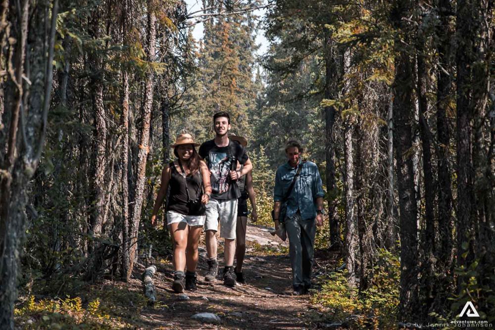 Happy people hiking in the forest