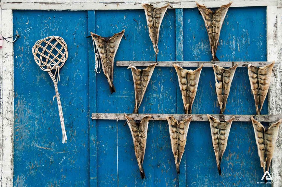 drying fish hanged on a wall