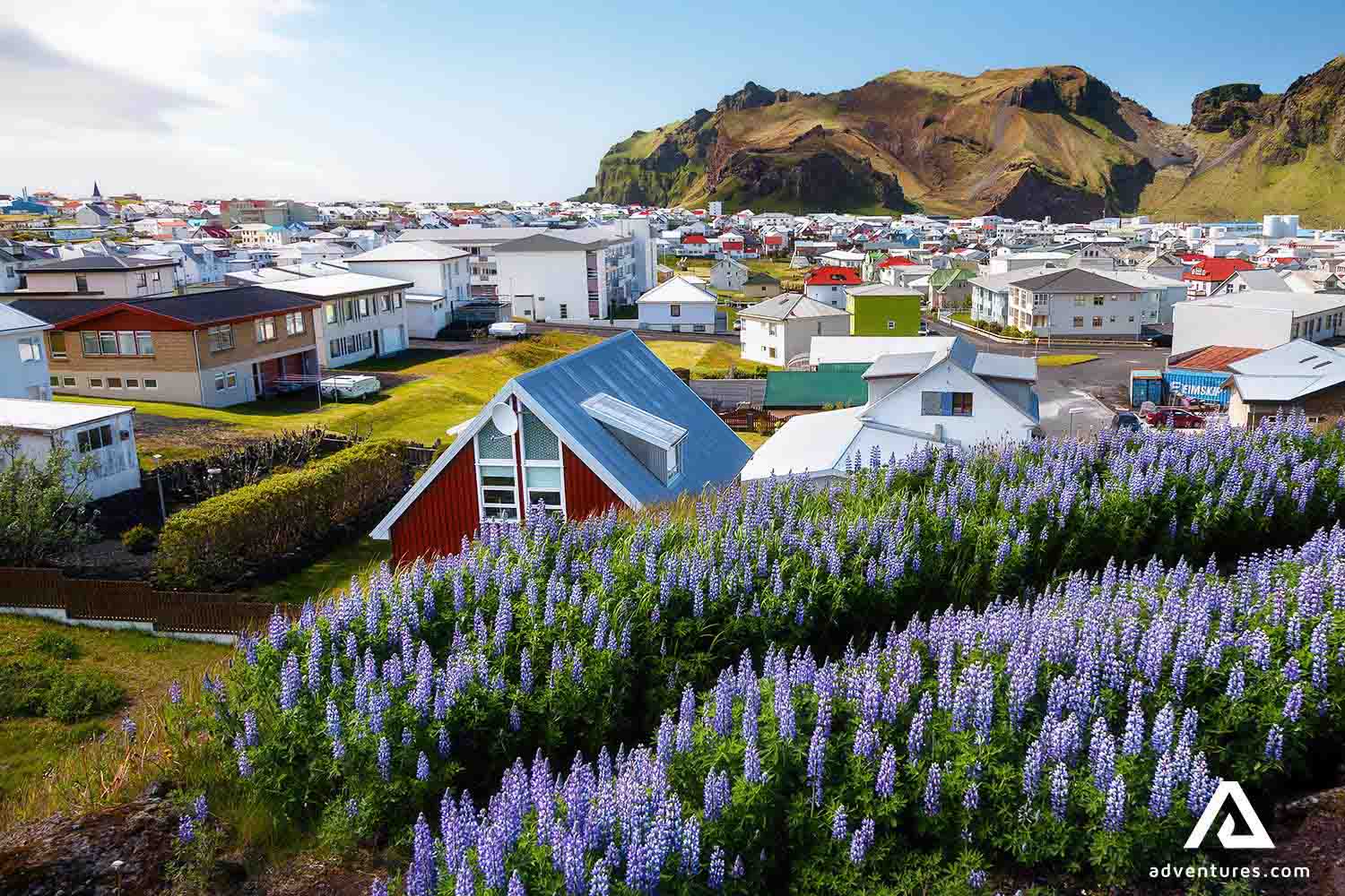 heimaey island town buildings in vestmannaeyjar