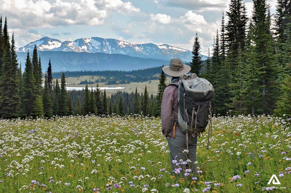 man hiking in wells gray provincial park at summer