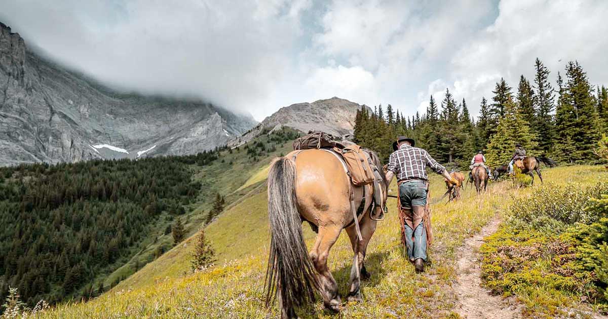 Banff Backcountry Tentbased Horseback Trip