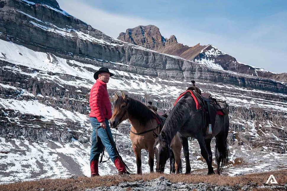 man with two horses in the mountains