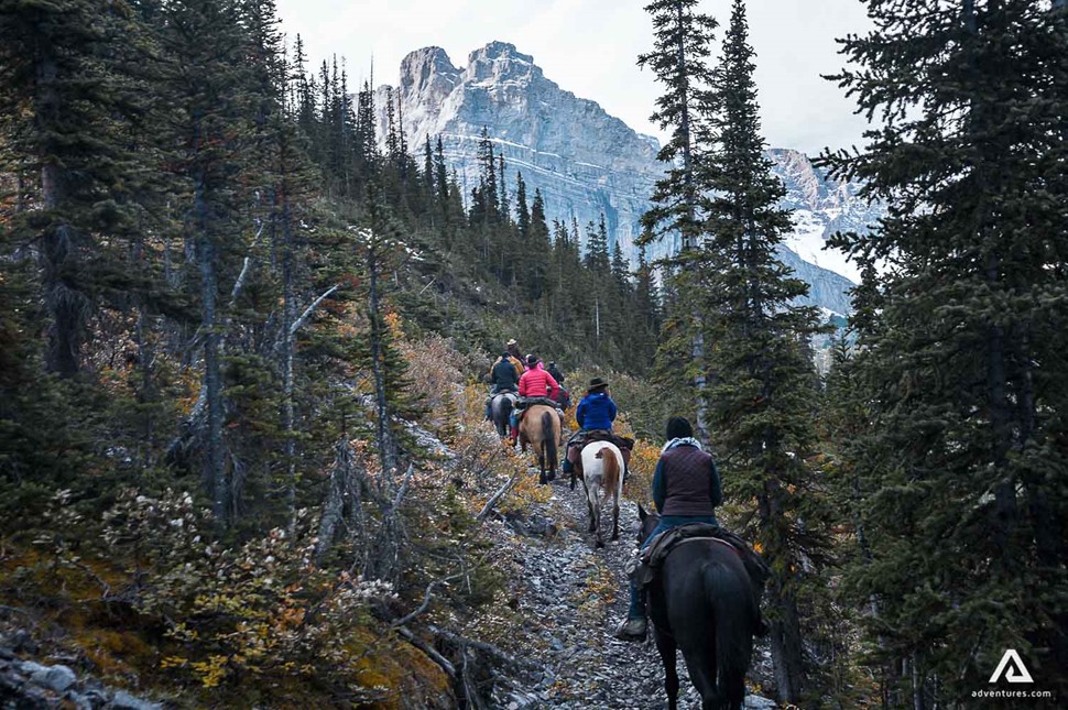 riding horses in mountain forest in canada