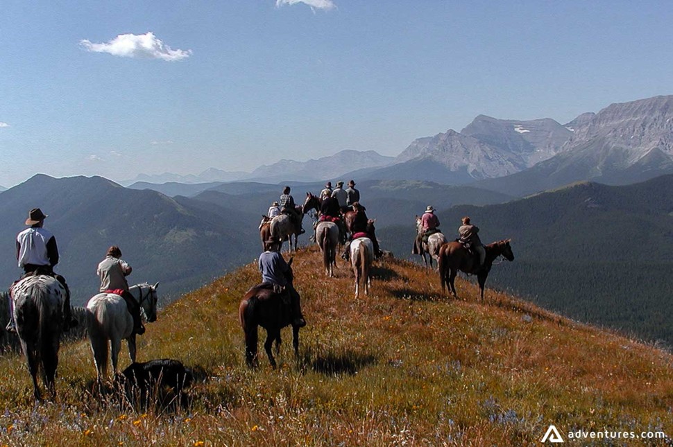 horse riders on top of a mountain in canada at summer