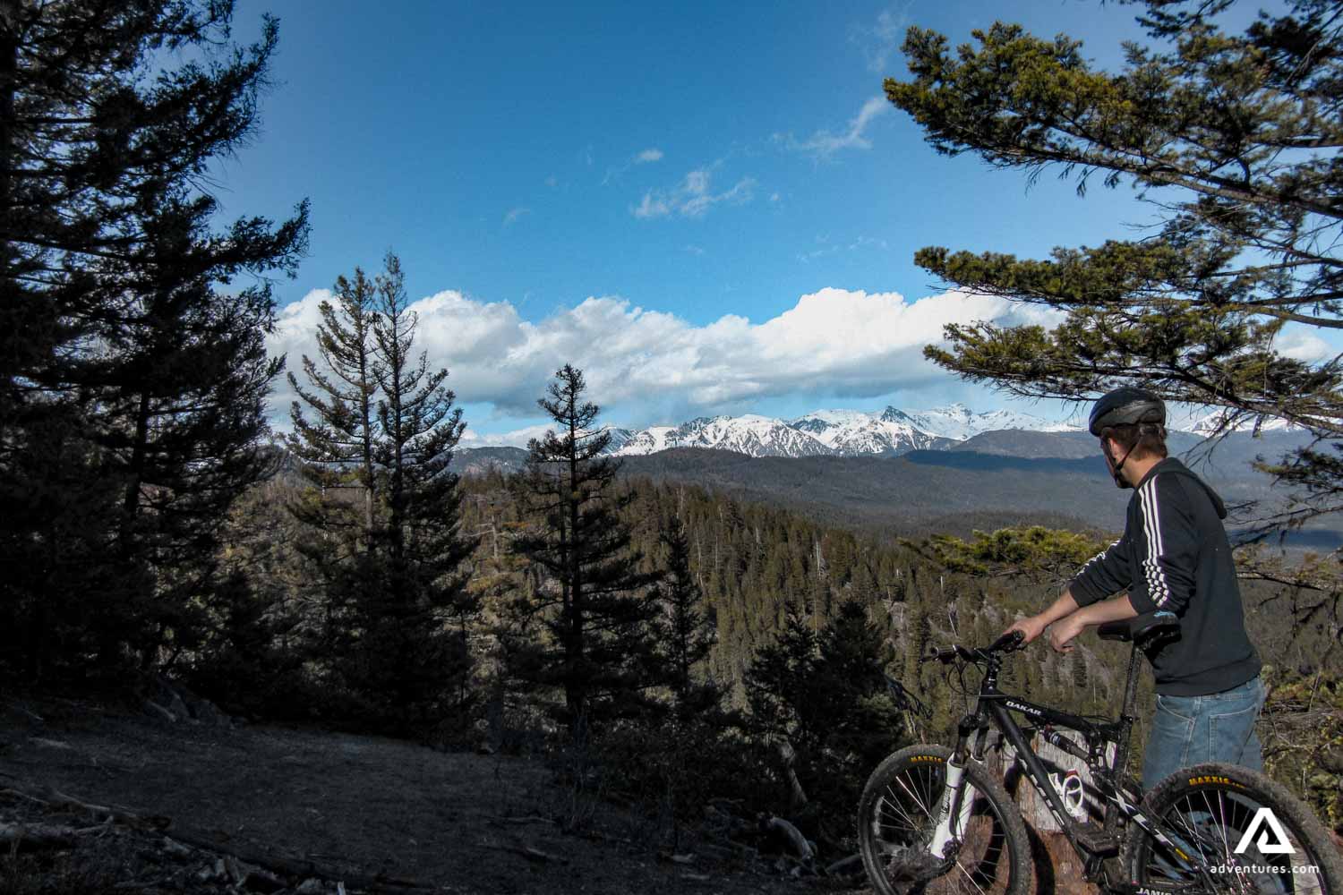mountain biker in a lush forest in mountains